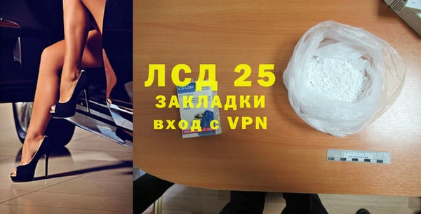 ПСИЛОЦИБИНОВЫЕ ГРИБЫ Абаза