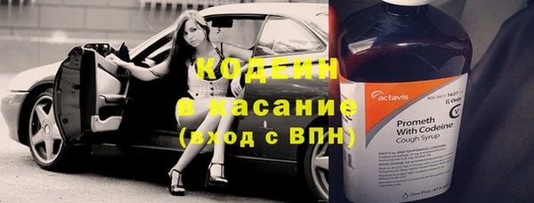 ПСИЛОЦИБИНОВЫЕ ГРИБЫ Абаза