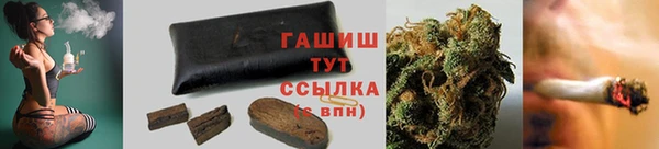 ПСИЛОЦИБИНОВЫЕ ГРИБЫ Абаза