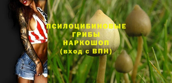 ПСИЛОЦИБИНОВЫЕ ГРИБЫ Абаза