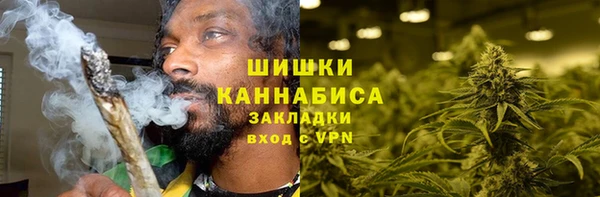 ПСИЛОЦИБИНОВЫЕ ГРИБЫ Абаза