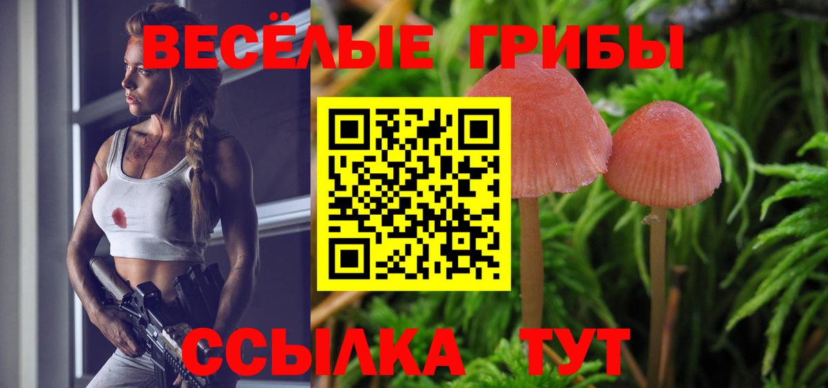 Галлюциногенные грибы мухоморы Смоленск